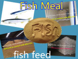 Fish Meal for Fish Protein 65% 72% Min