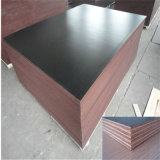 1220X2440X12-18mm Shuttering Plywood for Construction