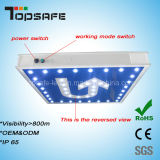 Solar Panel LED Traffic Warning Display Sign Wtih CE &SGS