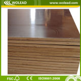 High Quality Film Faced Plywood for Construction (w15526)
