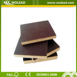 Film Faced Plywood/Shuttering Plywood/Poplar Plywood (w15488)