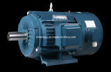 Yvf Series Three Phase Frenquency Adjustable-Speed Electric Motor