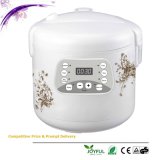 700W 6 Functions Multifunction Cooker