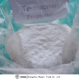 Top Quality Raw Material Testosterone Propionate for Pharmaceutical Intermediates