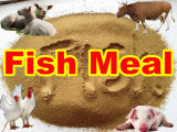 Fish Meal with High Quality Protein 65% 72%
