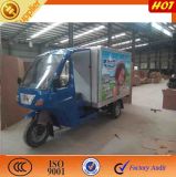 Hot Selling Van Tricycle/Closed Cabin Cargo Tricycle (carry ice/cold drink)