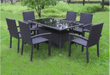 Outdoor PE Rattan Dining Set for Outdoor with 6 Chairs SGS