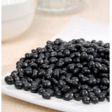 Wholesale China Organic Small Black Mung Bean for Competitve Price