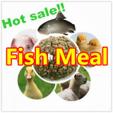Protein Powder Fish Meal for Poultry