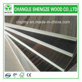 Shengze Wood 1220X2440, 1250X2500mm Melamine Plywood