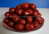 2015 China Dry Red Jujube Dried Fruit Healthy Date