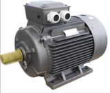 Increase Power Motor Y2t Series Electric Motor