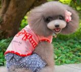Fashion Pet Cloth Pet Products, Dog Clothing (G-22)