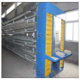 Chicken Egg Poultry Farm Equipment Layer Chicken Cage with Automatic Systems