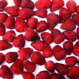 Organic Strawberry of Frozen Fruits