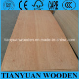 China Laminate Plywood Sheet for Furniture
