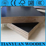 Film Faced Plywood Shuttering Plywood 18mm