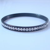 2012 Hot Stainless Steel Bangles (HBNB00003)
