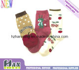 OEM Socks Exporter Cotton Spring Child Socks (hx-208)
