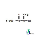 Tertiarybutyl Methacrylate