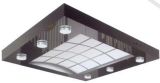 Commercial Lift Ceiling (SMCTP-08)
