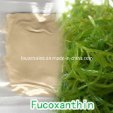 Seaweed Extract Fucoxanthin