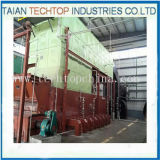 Double Drums D Type Coal Fired Steam Boiler for Textile Industry