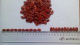 Middle Red Watermelon Seeds with High Quality