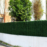Outdoor Artificial Boxwood Hedge Graden Fence for Landscape