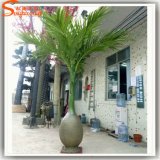Distinctive Design Fiberglass Artificial Bottle Palm Tree