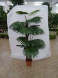 Artificial Plants and Flowers of Fan Palm 180cm