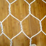Anping Tianyue Hot Dipped Galvanized Hexagonal Wire Netting (TYE-05)