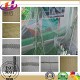 Anti Insect Net for Agricultural Usage