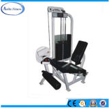 Fitness Machine Leg Extension Gym Equipment