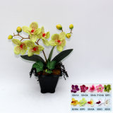Artificial Potted Flower, Imitative Silk Orchid