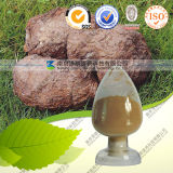 Anti-Cancer Chinese Herb Extract Poria Cocos Extract