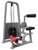 Fitness Equipment/Gym Equipment/Back Extension (SW17)