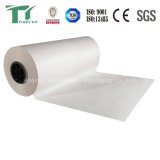 Medical Coated Paper Roll Material