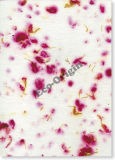 Red Carnation Flower Seed Paper