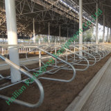 3mm Hot DIP Galvanized Pipe Livestock Free Stall