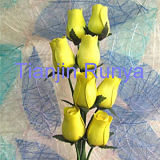 Artificial Flower (FY-WD-JH05)