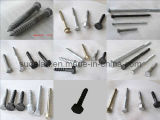 Hex Head Spikes/ Different Types
