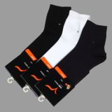 Socks (VO41)
