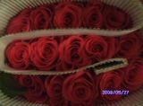 Roses--Fresh Cut Flowers-Roses, Carnations, Lily, Gerbera and Other Flowers