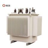 100kVA Oil Immersed Distribution Transformer with Onan