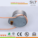 DC Electric Excited Hysteresis Synchronous Motor