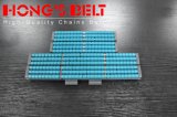 Straight Roller Plastic Chain for Beverage Industry
