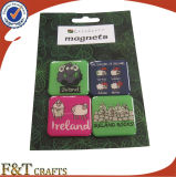 High Quality Custom Fridge Magnet (FTFM1501A)