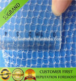 Exporters of High Quality Nets