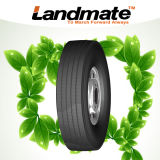 Radial Tyre, Tyre